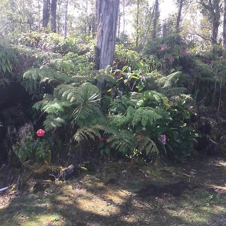 Simply Convenient Tropical Country Studio Mountain View Εξωτερικό φωτογραφία